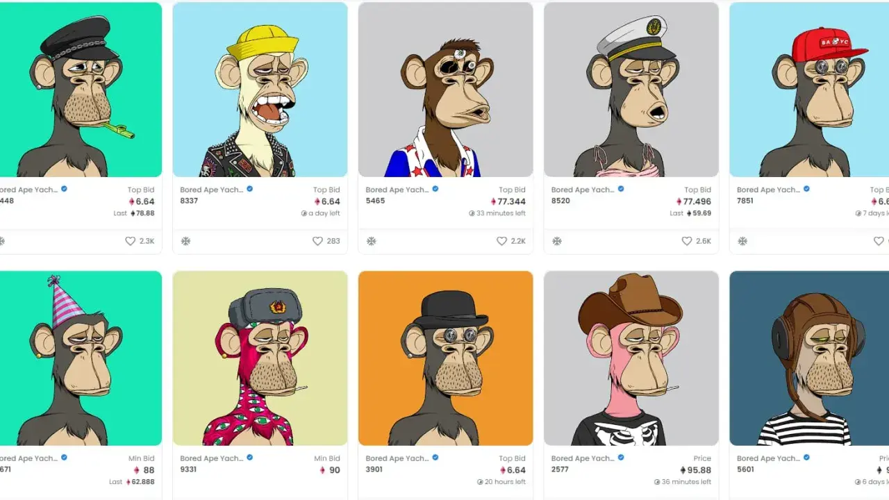 Collection de nft musique : singes Bored Ape Yacht Club aux looks variés, certains avec chapeaux, bijoux ou tenues originales.