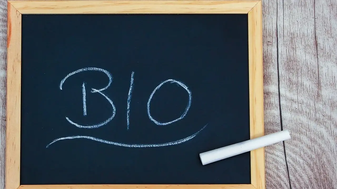 Tableau noir avec le mot "BIO" écrit à la craie. Un morceau de craie repose sur le cadre. Idéal pour une biographie d'artiste.