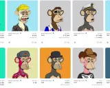 Collection de nft musique : singes Bored Ape Yacht Club aux looks variés, certains avec chapeaux, bijoux ou tenues originales.