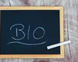 Tableau noir avec le mot "BIO" écrit à la craie. Un morceau de craie repose sur le cadre. Idéal pour une biographie d'artiste.