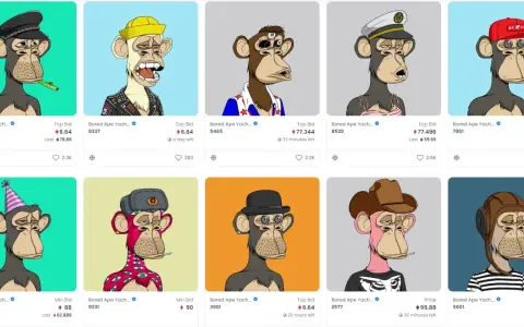 Collection de nft musique : singes Bored Ape Yacht Club aux looks variés, certains avec chapeaux, bijoux ou tenues originales.