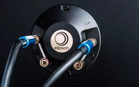 Connexion de câbles audio sur un bornier Elipson. Le montage fiche banane assure une connexion stable pour un son optimal.