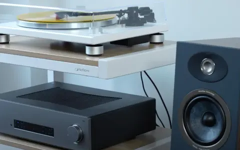 Platine vinyle, amplificateur et enceinte Focal. La connectique audio assure la liaison entre ces éléments pour une expérience sonore immersive.
