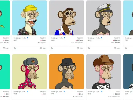 Collection de nft musique : singes Bored Ape Yacht Club aux looks variés, certains avec chapeaux, bijoux ou tenues originales.