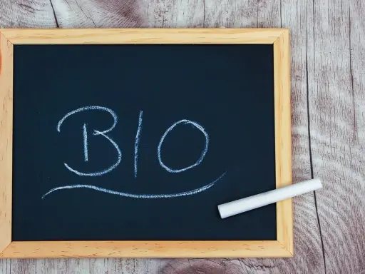 Tableau noir avec le mot "BIO" écrit à la craie. Un morceau de craie repose sur le cadre. Idéal pour une biographie d'artiste.