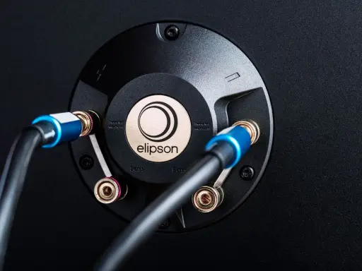 Connexion de câbles audio sur un bornier Elipson. Le montage fiche banane assure une connexion stable pour un son optimal.