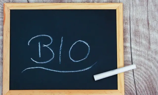 Tableau noir avec le mot "BIO" écrit à la craie. Un morceau de craie repose sur le cadre. Idéal pour une biographie d'artiste.