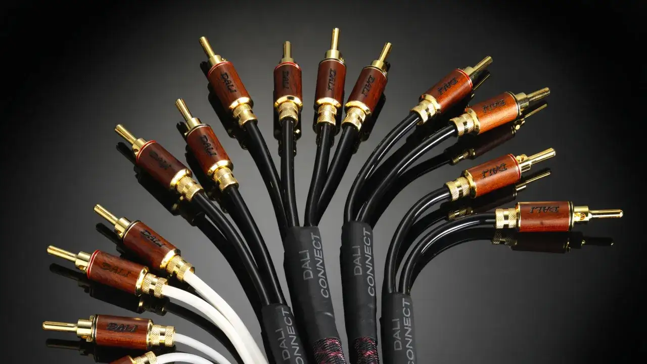 Ensemble de câbles audio DALI, avec des connectiques plaquées or et des finitions en bois, prêts à assurer une connexion sonore de haute qualité.